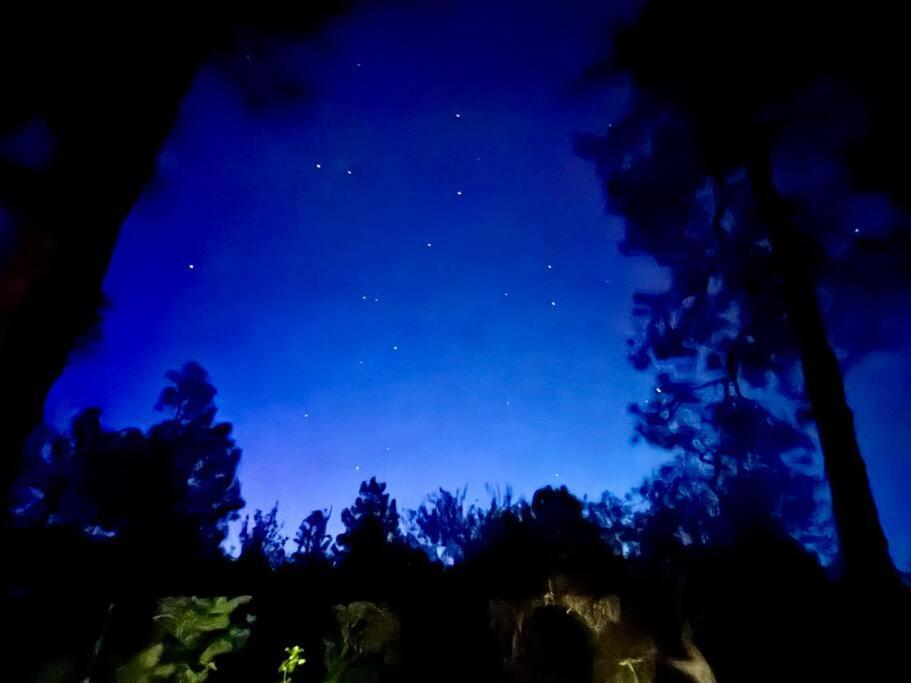 Dancing Pines Cabin Prescott Buitenkant foto